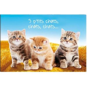 Cadre En Toile Chaton Cdiscount