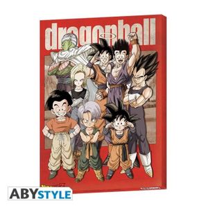 Toile Anniversaire Dragon Ball Cdiscount Toile Anniversaire Dragon Ball Cdiscount