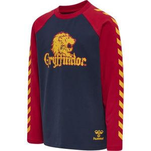 Rouge Marque : HARRY POTTERHARRY POTTER Hogwarts T-Shirt à Manches Courtes pour Enfant Garçon Bleu Gris Lot de 5 