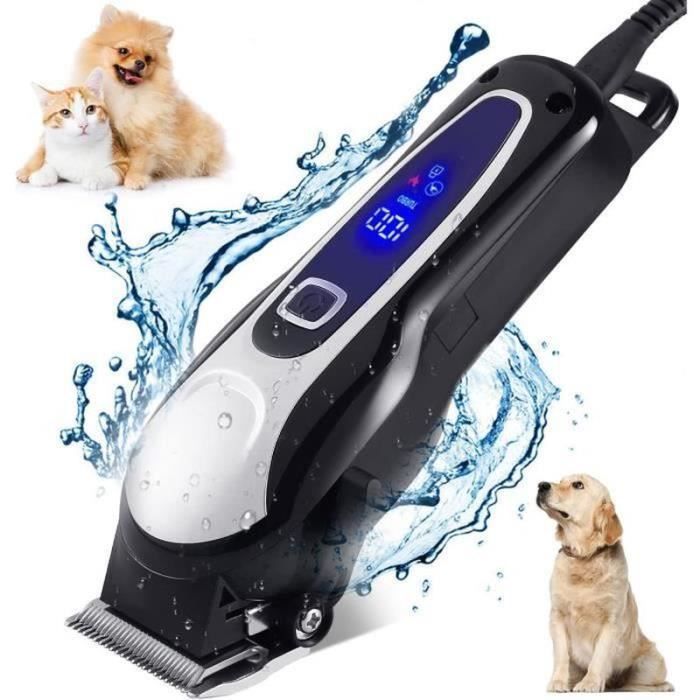 Tondeuse Professionnel Pour Chien