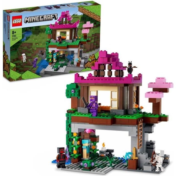LEGO 21183 Minecraft Le Camp d'Entraînement, Jouet avec Figurines Ninja, Squelette, avec Maison, Cadeau Garçons et Filles Dès 8 Ans