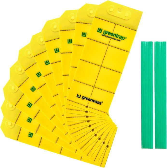 Greentrap Pièges Adhésifs Jaunes Pour Insectes - Lot De 10 Avec Protection Et Attaches - Efficaces Jardin, Serre Et Intérieur