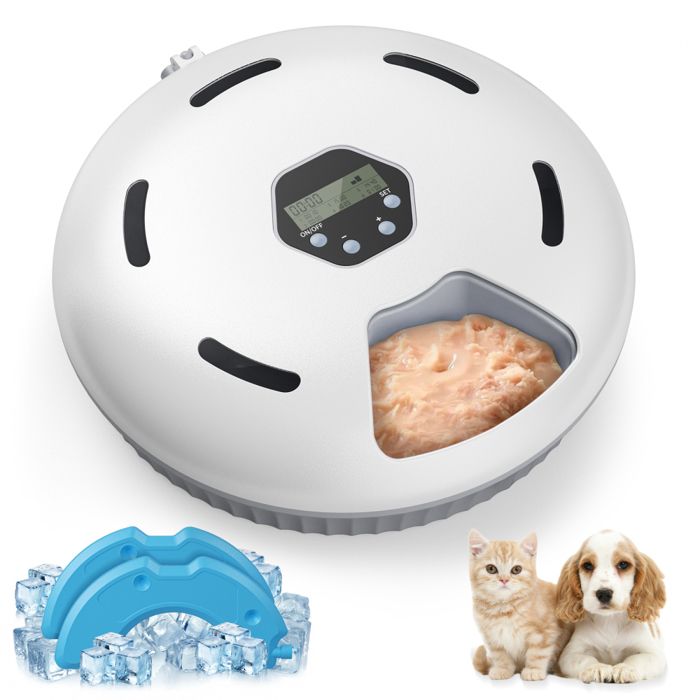 Meilleurs prix pour Distributeur automatique nourriture humide pour chats distributeur  croquettes pour chats avec minuterie programmable et système