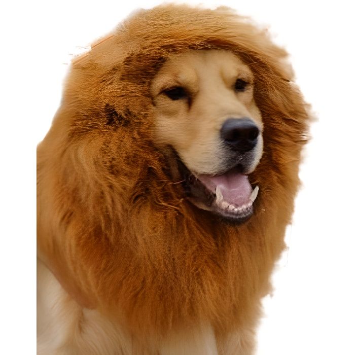 Costume Perruque Criniere De Lion Deguisement Pour Grand Chien Party Vetement Halloween Achat Vente Deguisement Panoplie Cdiscount