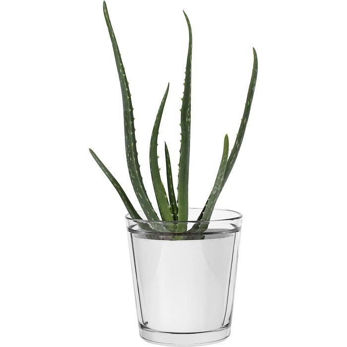 SUPVOX 1 Lot De Pots à Orchidées Transparents Pour Plantes Avec Support Pour Plantes D'intérieur Et D'extérieur – Résine