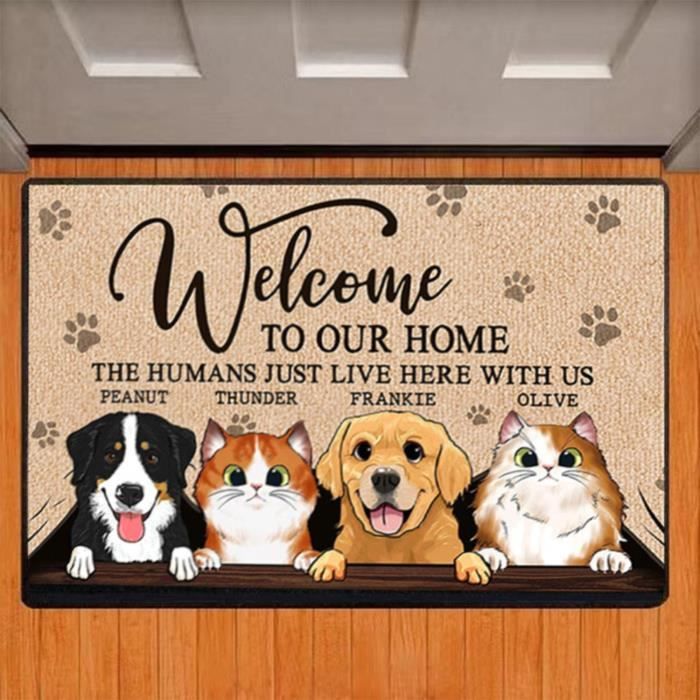 Chaîne KMC X12 12 Vitesses 126 Maillons - Pour VTT, Route, DH, Compatible Shimano, Acier