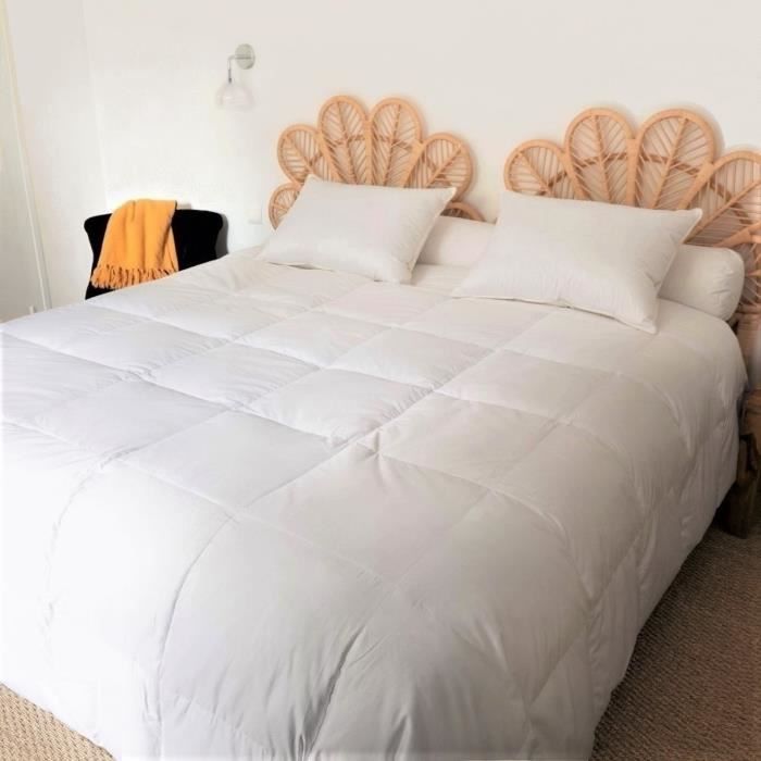 CASTEX COUETTES NATURELLES Couette &Eacute;t&eacute; -  - 240x220 cm - Duvet dOie - L&eacute;g&egrave;re - Blanc 