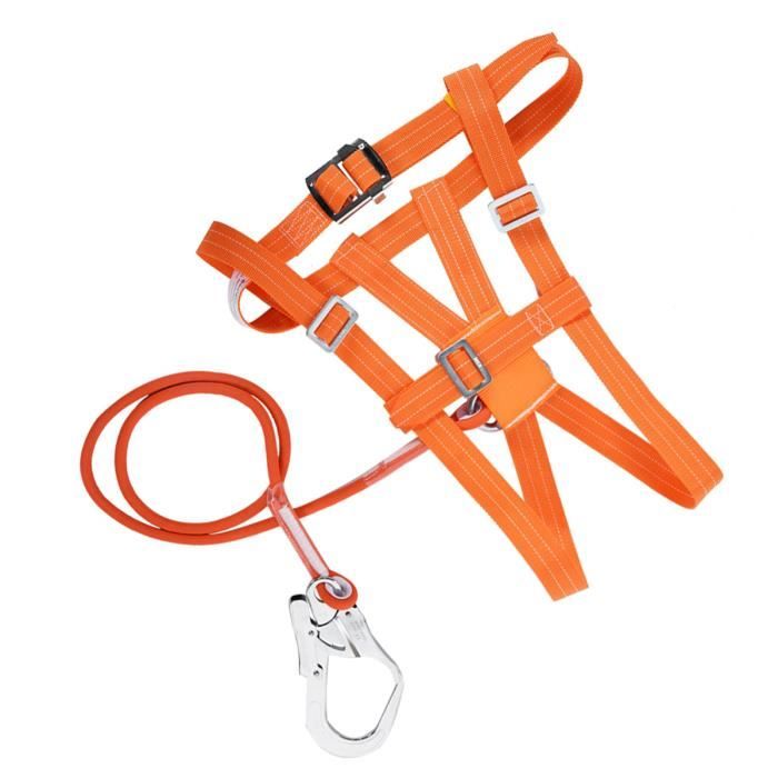 Harnais D'escalade YOSOO - Ceinture De Sécurité Réglable - Petite