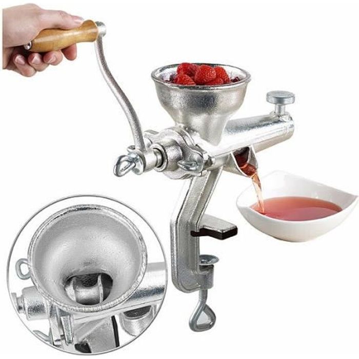 Extracteur de jus - Rosenstein & Söhne - Professionnel - Fonte - Gris - Idéal pour smoothies et confitures - Rosenstein Et Sohne