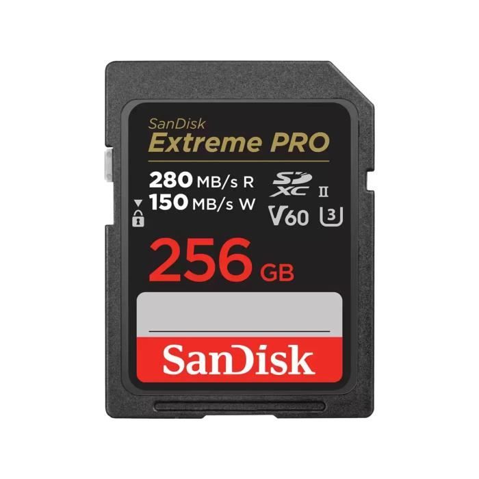 Carte Mémoire SD - SanDisk - Extreme Pro - 256GB