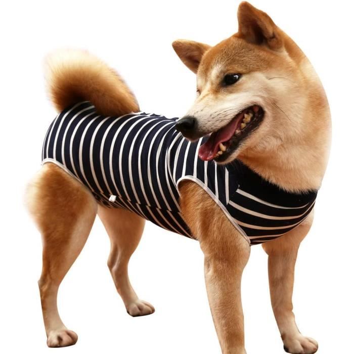Body Chien Post Operatoire Femelle, Combinaison de Récupération