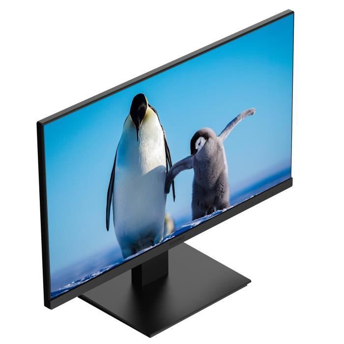 Écran PC Koorui 24N1A 23.8 LED FullHD 75Hz 5ms VGA HDMI Noir - Ecrans PC -  Achat & prix