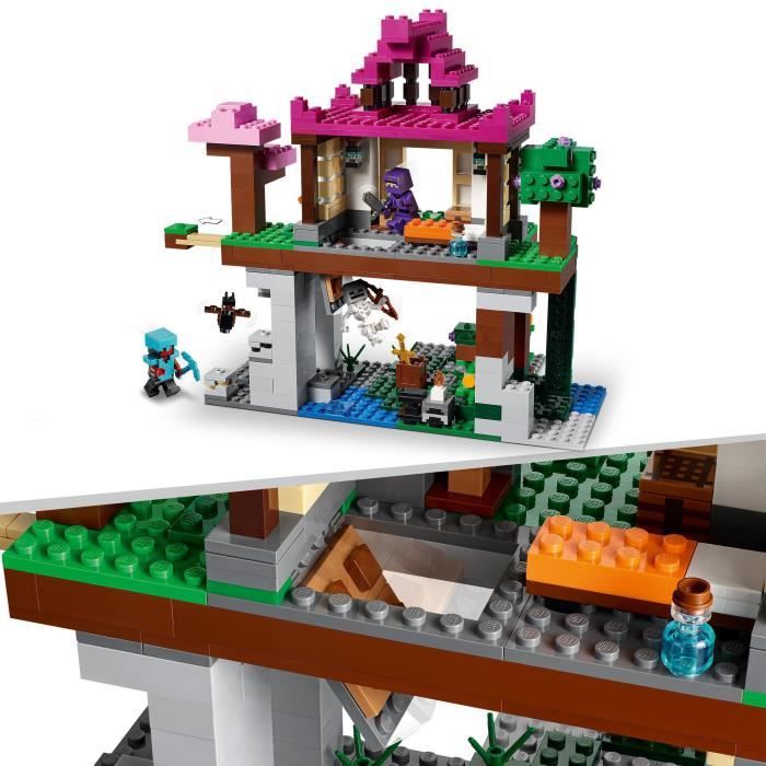 LEGO 21183 Minecraft Le Camp d'Entraînement, Jouet avec Figurines Ninja,  Squelette, avec Maison, Cadeau Garçons et Filles Dès 8 Ans - Cdiscount Jeux  - Jouets