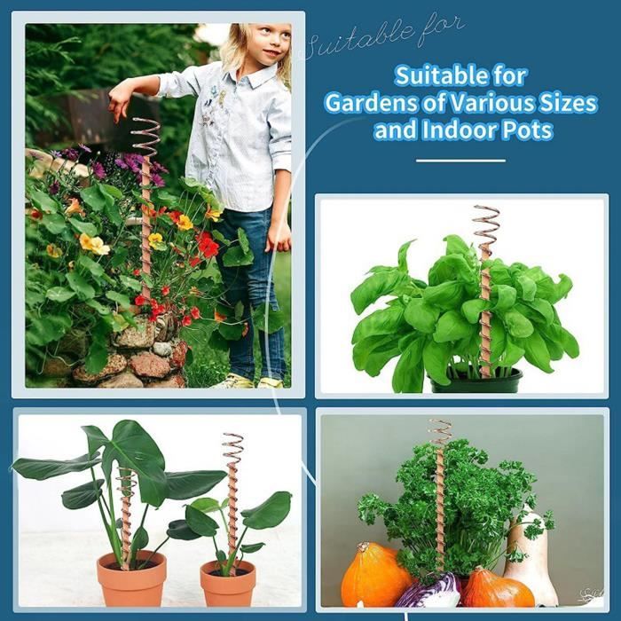 Piquets de jardinage en cuivre pour plantes d'intérieur et d