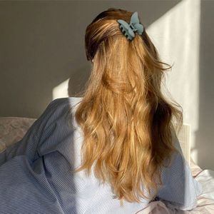 Épingle à cheveux papillon - Beauté