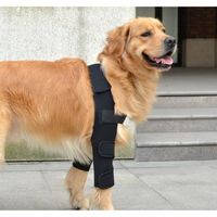Coudière pour chien - Coussinets de protection pour coude et épaules canins - Hygrome du coude et de dysplasie.