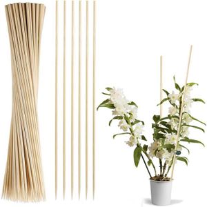 les fleurs ou les semis avec 100 lacets en métal vert TEYOON Lot de 50 tuteurs de 30 cm en bambou pour soutenir les plantes 