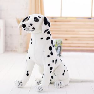 PELUCHE Blanc - 60 cm - Animaux en peluche chien dalmatien