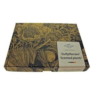 GRAINES Graines Magic Garden Seeds 'Plantes parfumées' kit