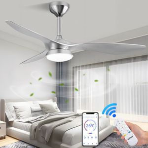 VENTILATEUR DE PLAFOND Ventilateur Plafond Silencieux avec Lumière, LED 2
