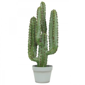 Grand cactus artificiel - Cdiscount