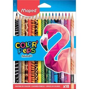 CRAYON GRAPHITE étui de 18 crayons de couleur triangulaire COLOR P