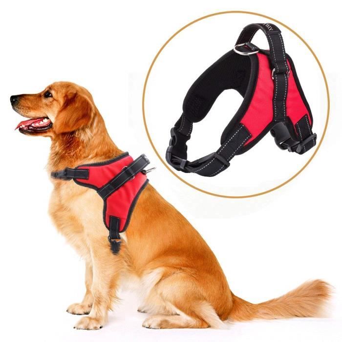 Harnais pour chien, Harnais de gilet à clip avant Harnais de voiture pour  chien avec poignée Coussinet de poitrine pour chiot Réglable En maille  réfléchissante respirante Légère et facile à contrôler