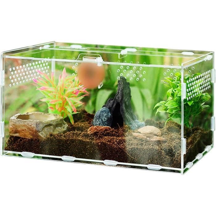 Terrarium En Acrylique Transparent 15x15x15 Cm - Pour Phasmes, Escargots, Petites Araignées, Reptiles Et Insectes