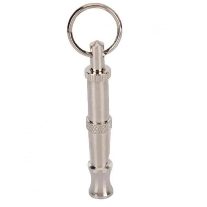 Sifflet coulissant, jouet musical, flûte, instrument de musique, pour