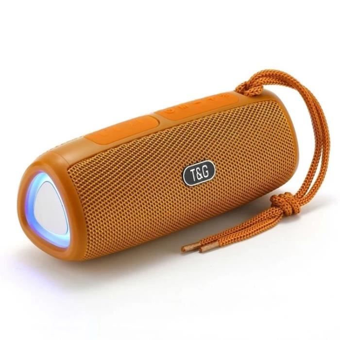 Enceinte Bluetooth Portable T&G 143 Double Haut-parleurs étanche USB Bleu Clair