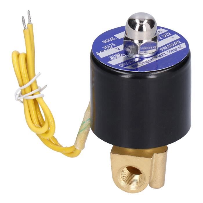 Électrovanne En Laiton Heschen 2W-320-32 - 12V DC, Normalement Fermée, Filetage PT 1-1/4'' - Pour Eau, Irrigation, Systèmes De Contrôle