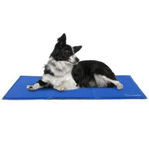 Tapis Rafraichissant Pour Chat Cdiscount Tapis Rafraichissant Pour Chat Cdiscount
