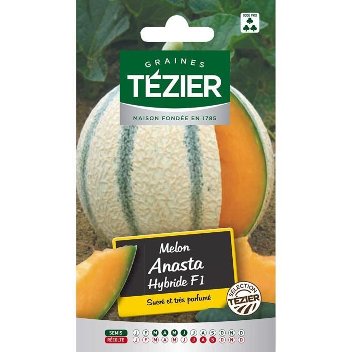Sachet Graines - Tezier - Melon Anasta HF1 sélection Tézier - Sachet légume petit modèle - (Mois de semis de 3 à 6)
