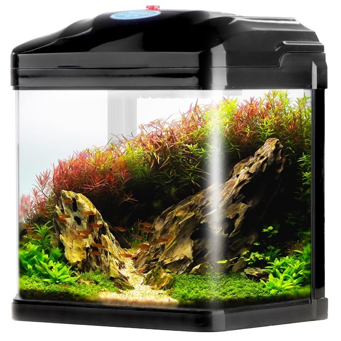 Aquarium noir Sunsun Pika-Pika AquaKids - 3 l