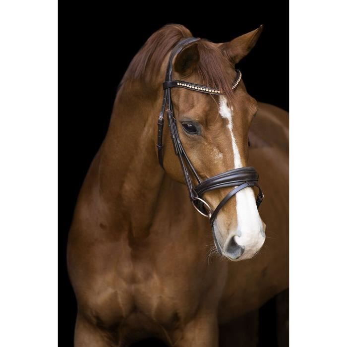 Sweatshirt équitation femme Imperial Riding Classy tango red - Sport