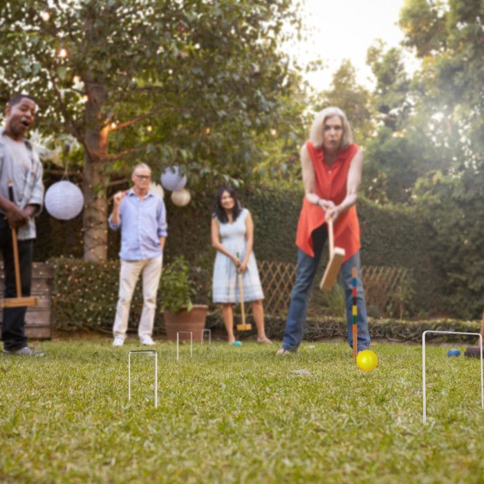 Partie De Croquet Avec Maillet Et Boule Illustration Stock