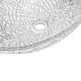 Sogood Lavabo à Poser Vasque en Verre Transparent Lave Mains Ovale de Salle de Bains Lave-Mains pour WC 50,5x36x15,5 cm Minerva05-2