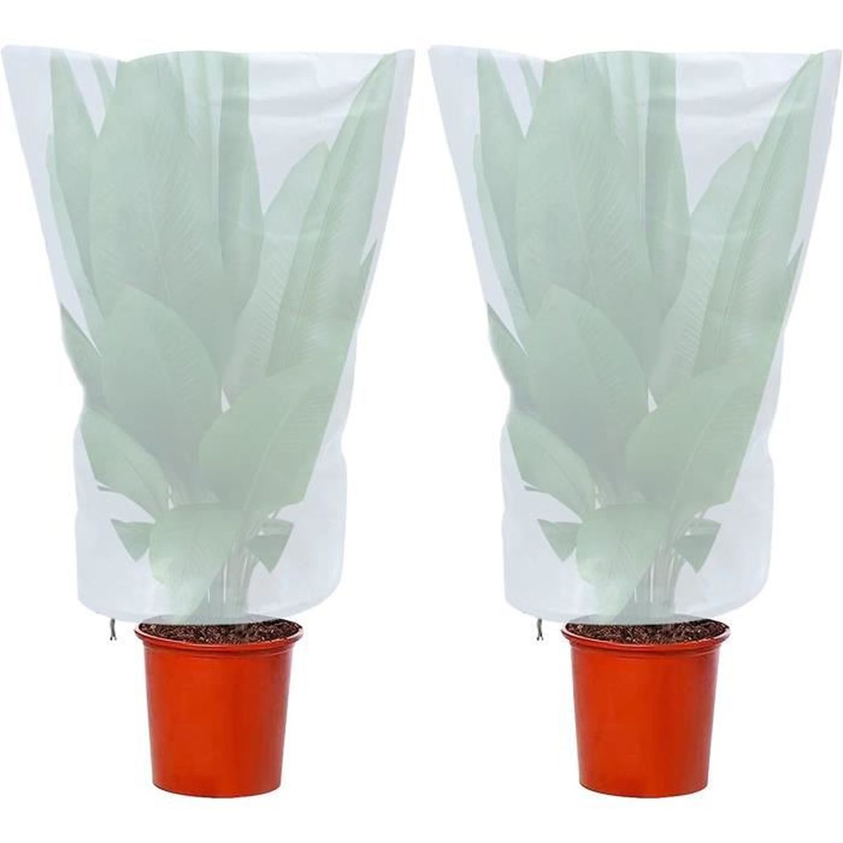 DazSpirit Voile D'Hivernage 35g/m², 3 X 9 M Housse Hivernage Plante Avec 25 Piquets, Tissu Non Tissé Voile Hivernage Plante Exterieur Pour Protection Hivernale, Contre Le Froid, Insectes Et Oiseaux