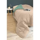 TOISON D'OR POYET MOTTE Couette Microfibre 400g/m² CALGARY - 200 x 200 cm - Beige galet et Vert lac
