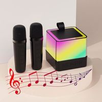 Mini Machine de karaoké, Haut-Parleur Bluetooth Portable, avec 2 Micro sans Fil, Lumière et Voix Change, pour Fête et Voyage - Noir