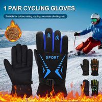 Gants Thermiques - Hommes et Femmes - Gants d'hiver Ultra Chauds - Cyclisme Randonnée Conduite - Bleu