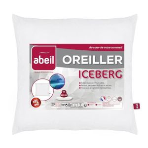 OREILLER SHOT CASE - ABEIL Lot de 2 Oreillers moelleux ICEBERG 60x60cm