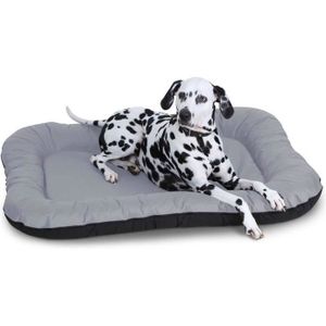 Recherche Knuffelwuff Lucky Lit Pour Chien Pour Intérieur Et