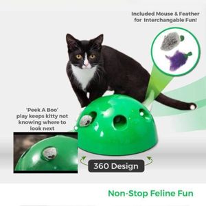 Daisy Le Chat Joueur Achat Vente Pas Cher Daisy Le Chat Joueur Achat Vente Pas Cher