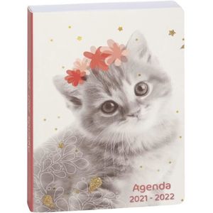 Agenda Chat Cdiscount