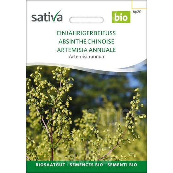 Absinthe Chinoise - Artemisia annua – Semences BIO - Cdiscount Jardin