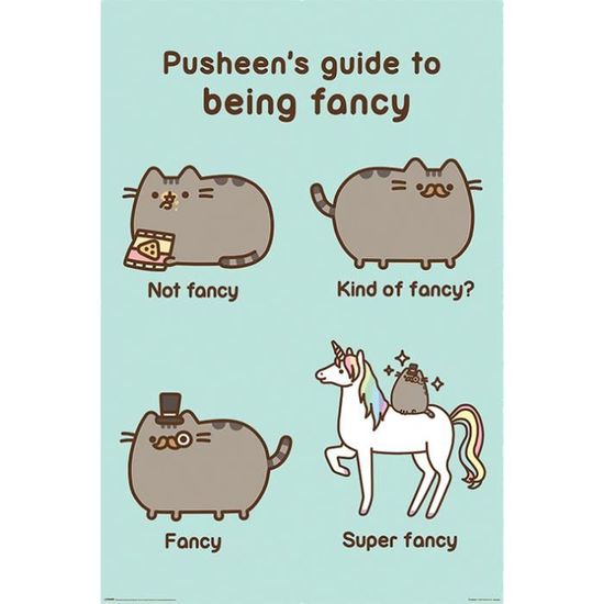 Pusheen cheap super fancy