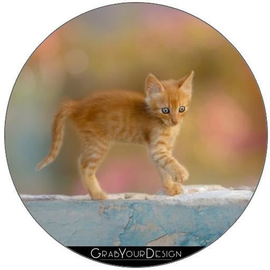 Lot De 6 Dessous De Verre Rond Drole Mignon Chaton Drolement Chat Pep Achat Vente Sous Verre Bouteille Cdiscount