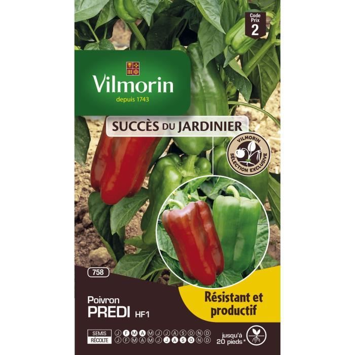 20 Poivron BLACK HORSE Heirloom légume RARE russe Variété Hâtive