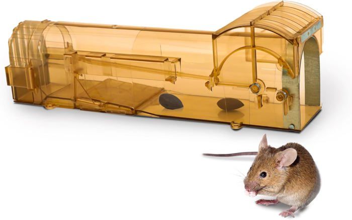 Piège à souris transparent, grand format, 1,2 m